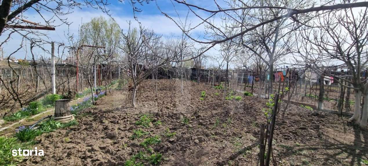 Casa si teren de 1000 mp , Bariera Valcii - Imagine principală: 3/4