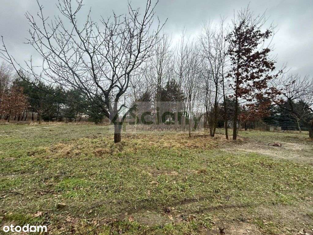 Działka w Adamowiźnie - Pełny obrazek: 5/5