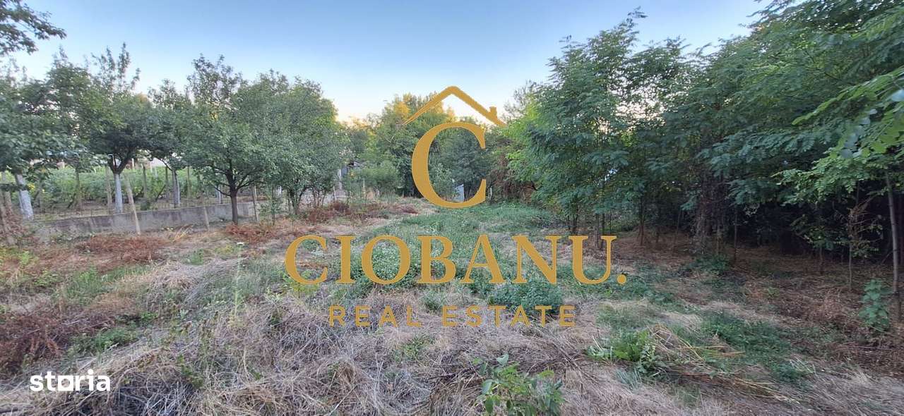 Teren cu casa batraneasca de vanzare in comuna Jugureni judet Prahova-15