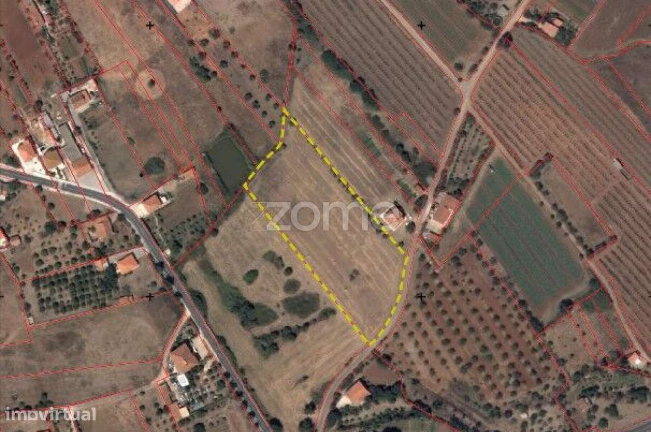 Terreno Rústico plano em Amorosa com 8.840m2 - Grande imagem: 5/16
