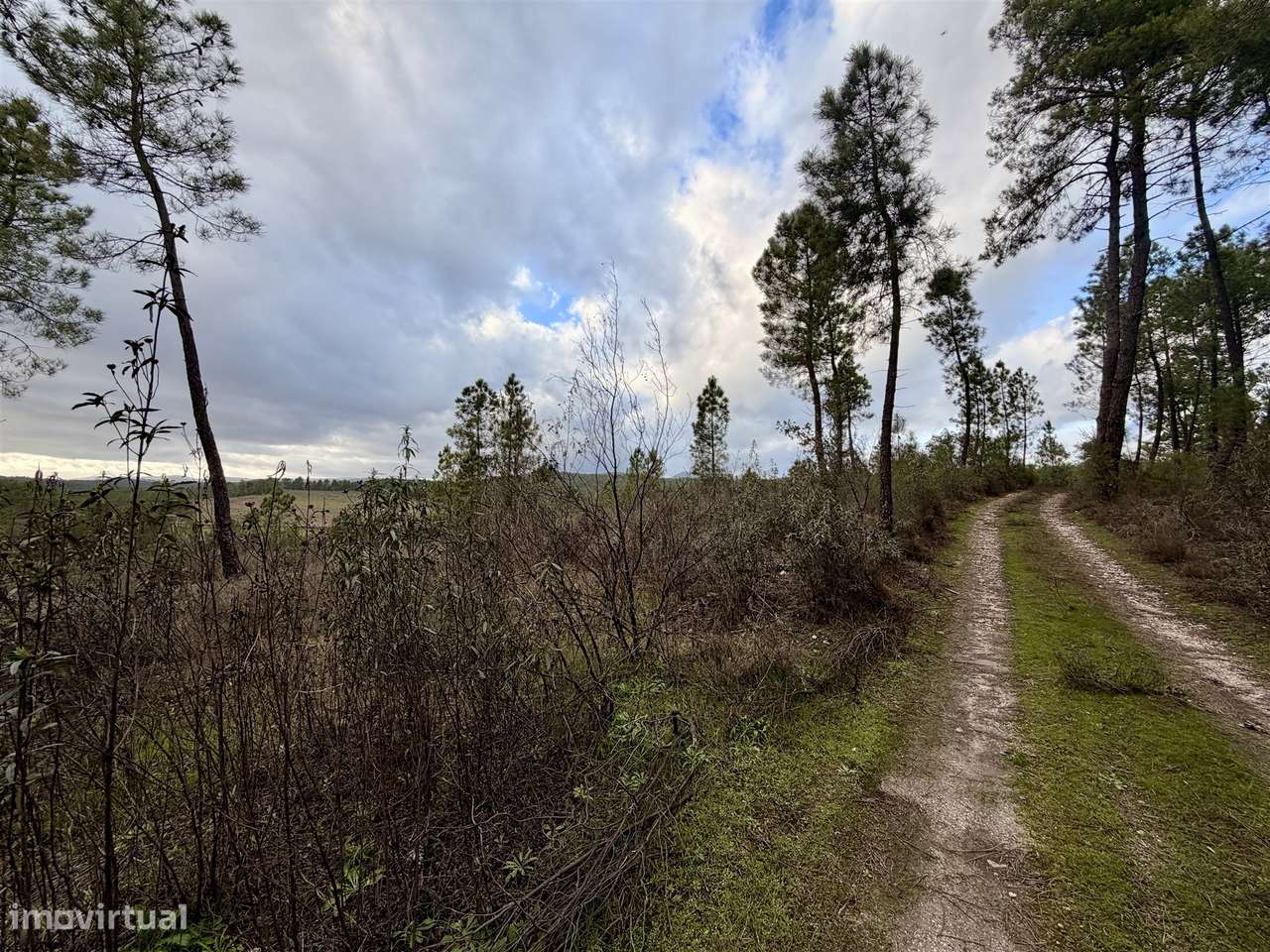 Quinta T0 Venda em Sarzedas,Castelo Branco-21