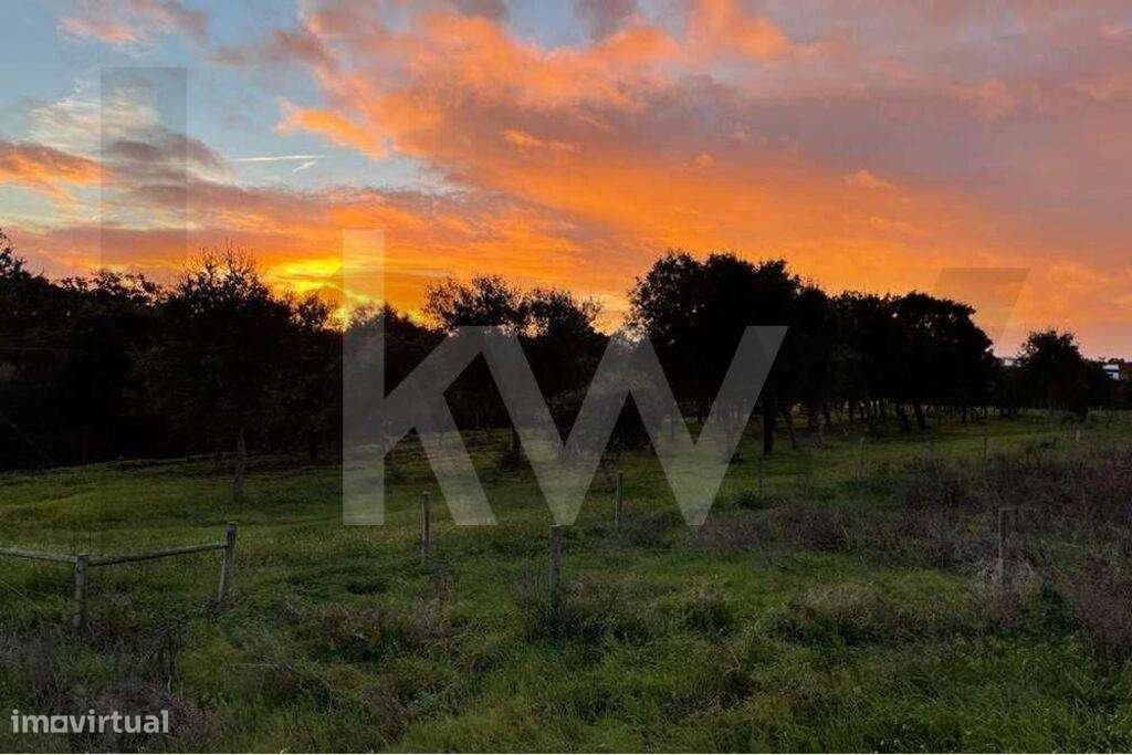 Terreno  com 13 hectares em Santiago do Cacém - Grande imagem: 2/13