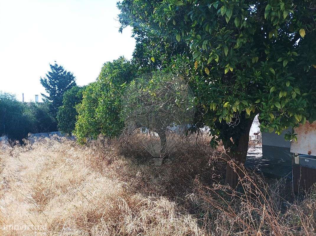 Moradia T3 para venda - Grande imagem: 4/12