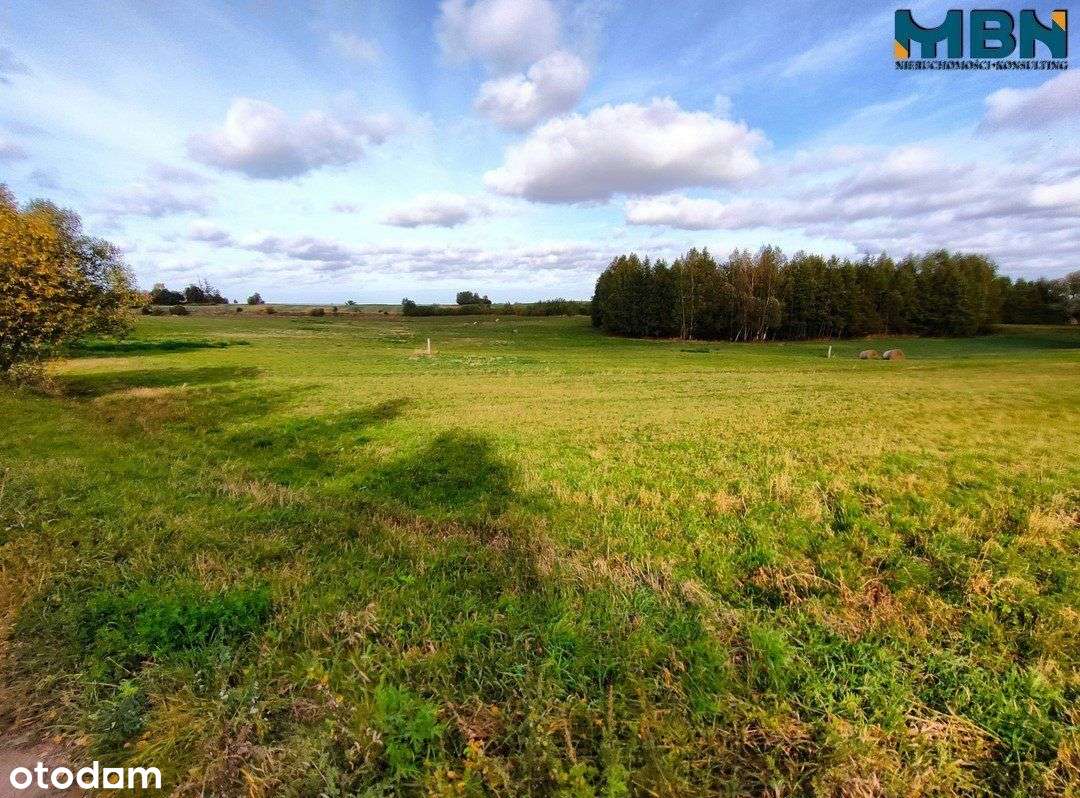 Działka budowlana (pod 4 domy) 1,11 ha Trygort - Pełny obrazek: 4/13