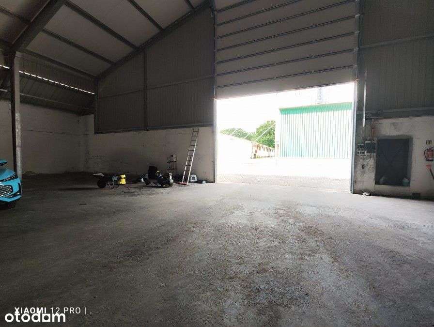 Lokal użytkowy, 26 472 m², Baszewice-12