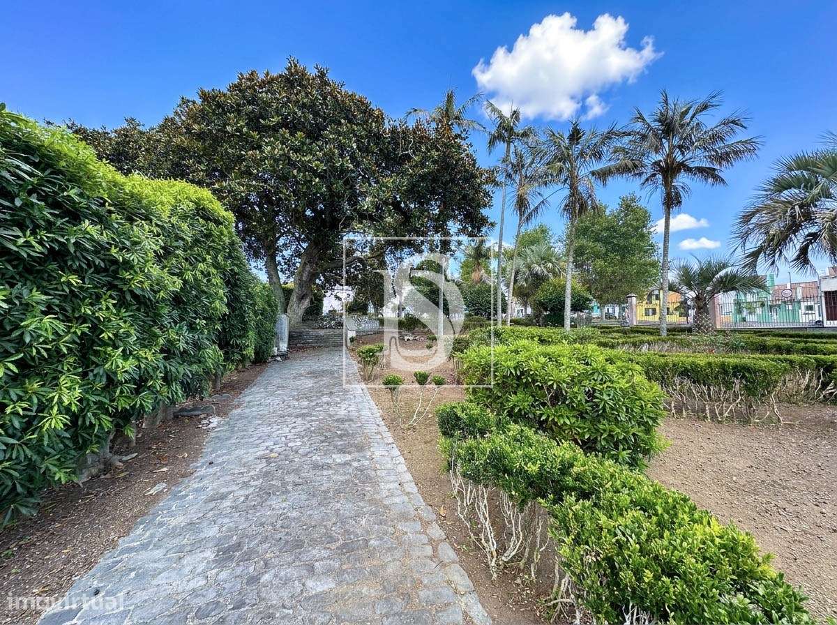 Quinta da Magnólia - Ponta Delgada-7
