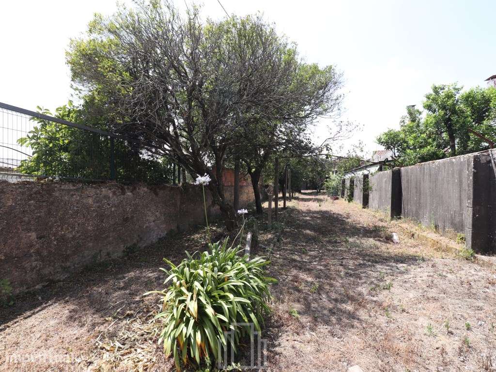 Casa Antiga T1 para recuperar - Ovar-15