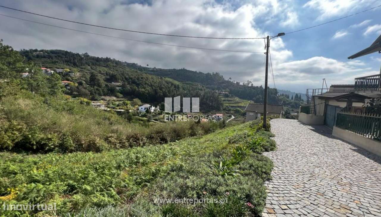 Venda Terreno, Santa Leocádia e Mesquinhata, Baião - Grande imagem: 4/30