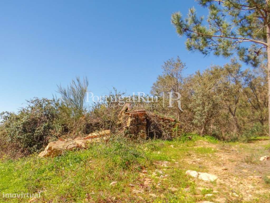 Quinta em Alegrete com ruinas - Grande imagem: 5/23