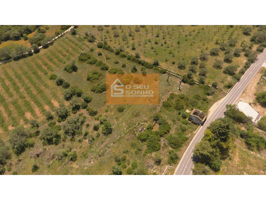 Terreno com Projecto Aprovado para Moradia T3 com Piscina-11