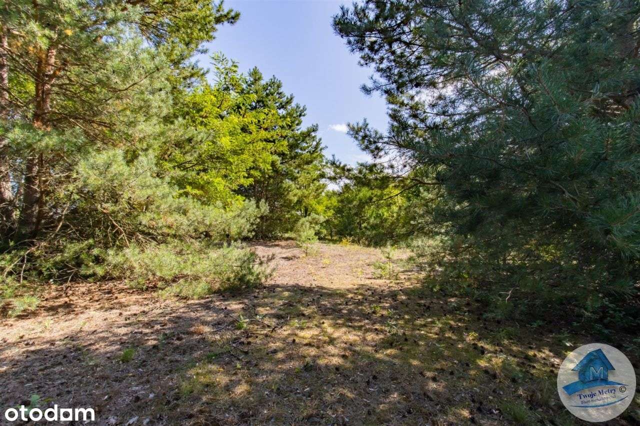 Miejsce na wymarzony dom w otoczeniu zieleni. - Pełny obrazek: 4/20