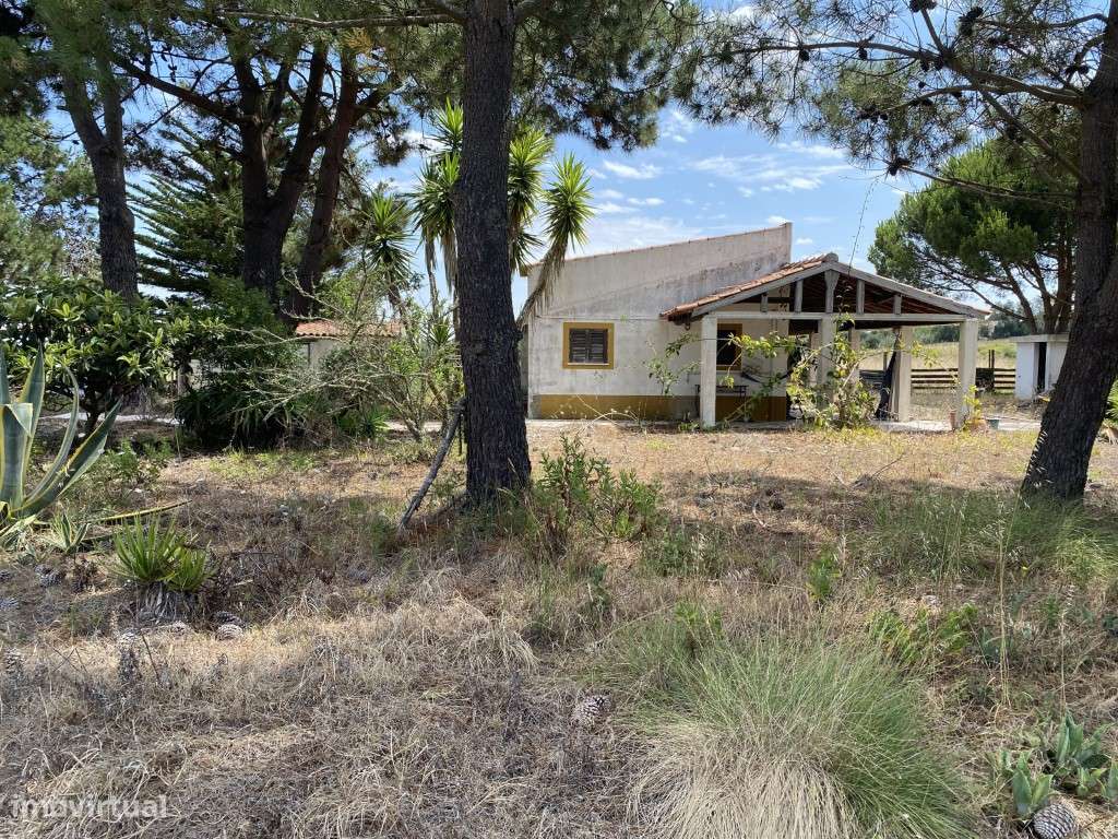 Terreno misto com 7000 m2 - Aldeia do Meco. - Grande imagem: 3/22