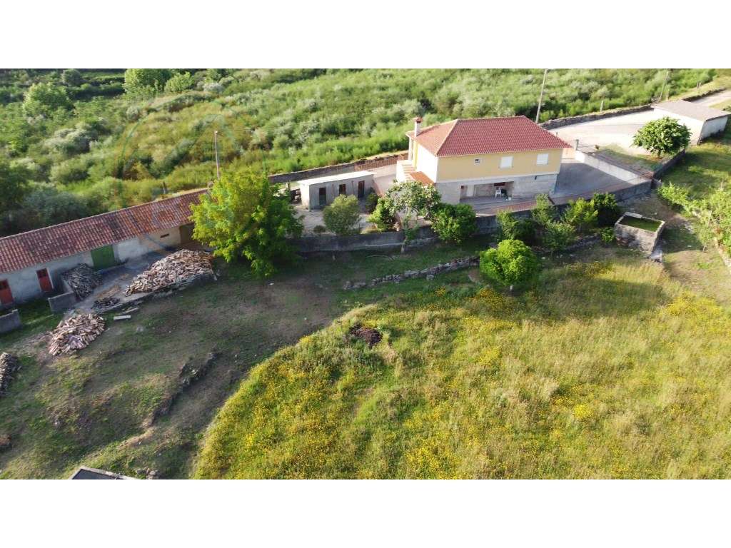 Quinta Rural em Leiradas, Rio Douro, Cabeceiras de Basto-28