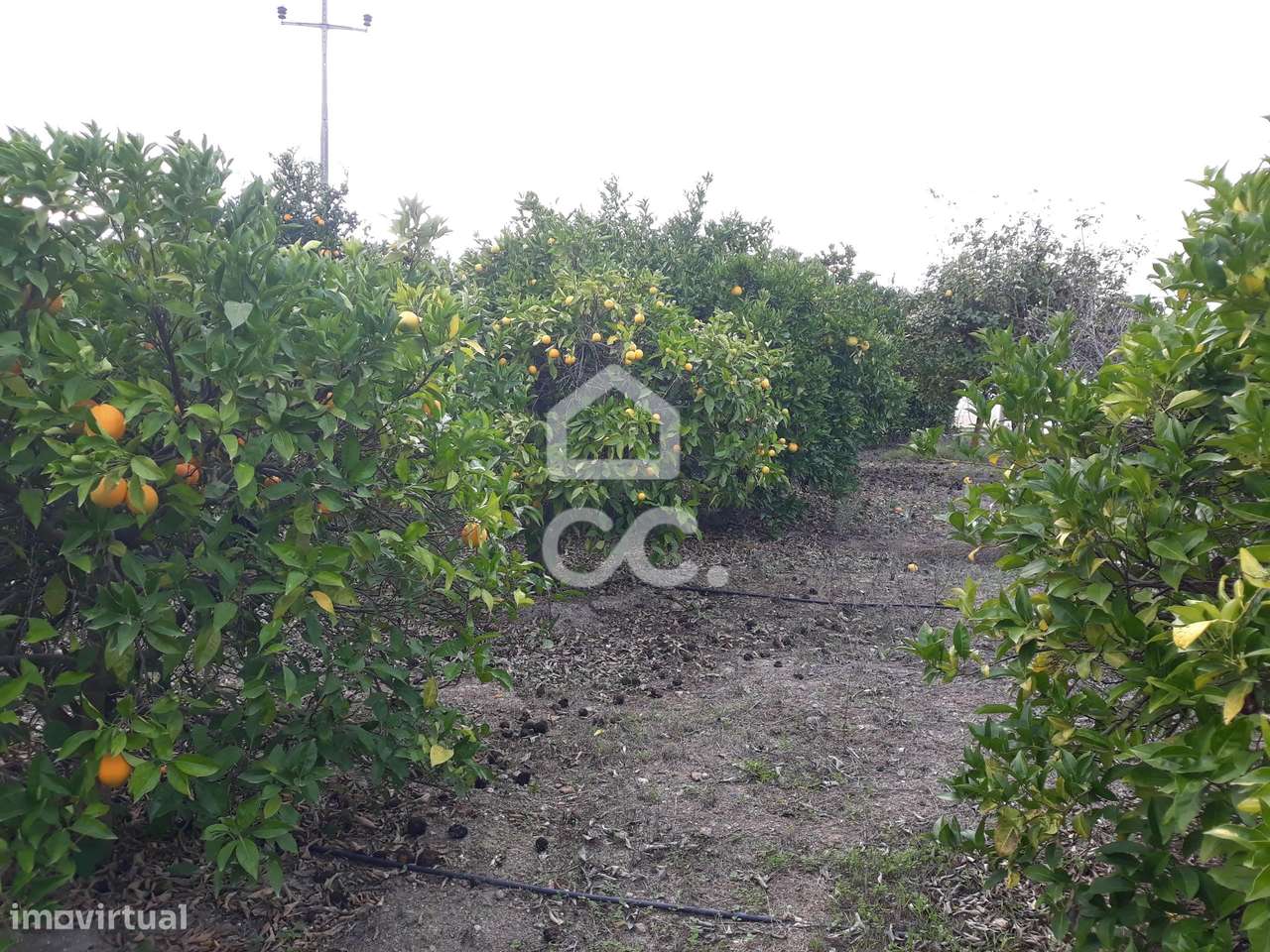 Quinta  em Beringel-25