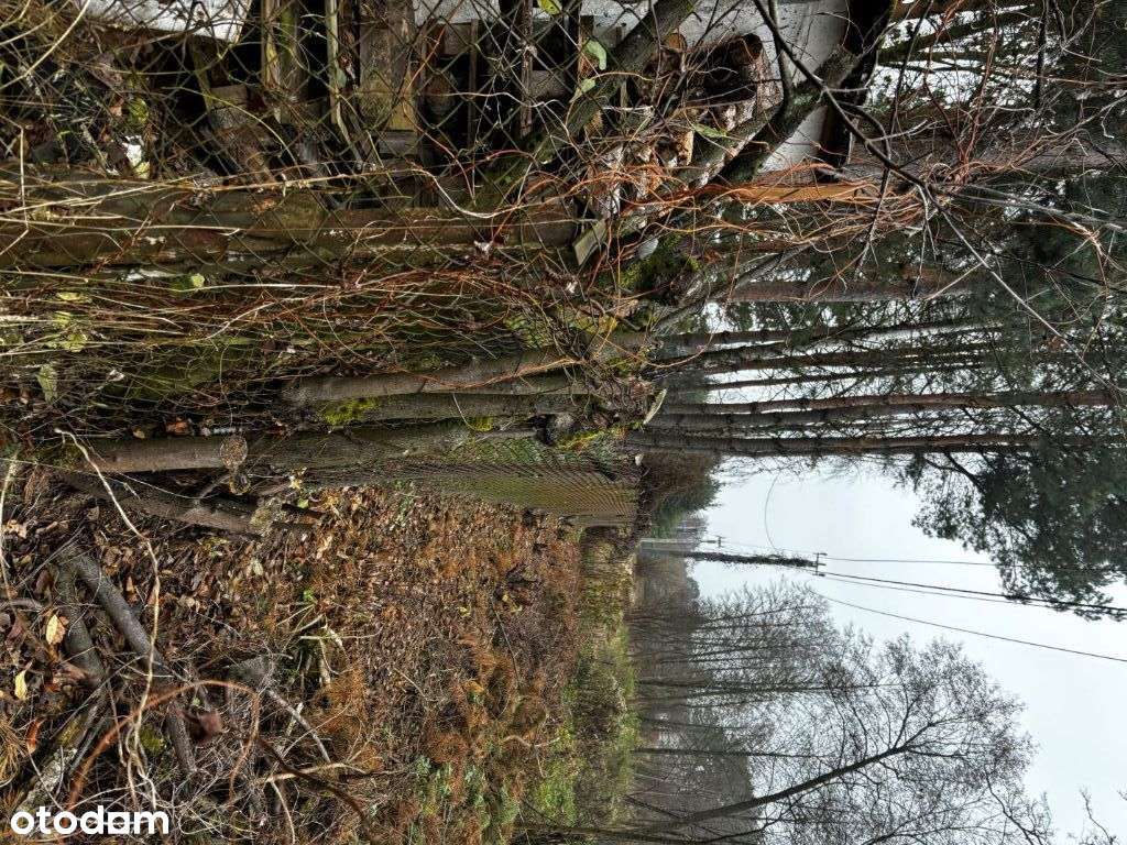 Sprzedam działkę rolno-leśną w miejscowości Joniec - Pełny obrazek: 5/13