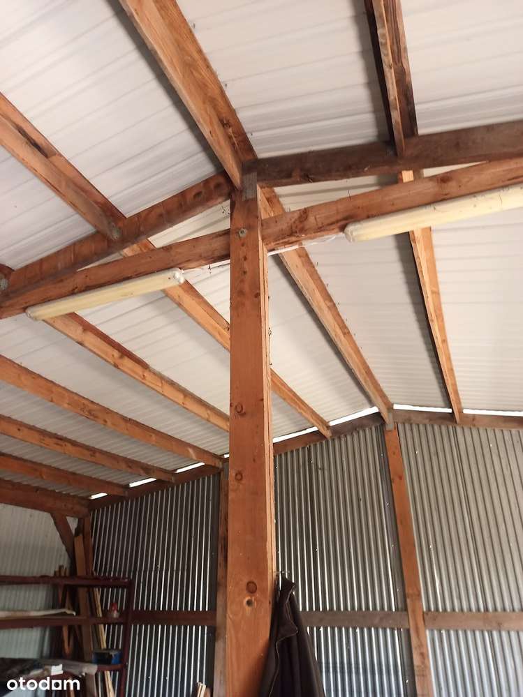 Hala na sprzedaż do przeniesienia - Pełny obrazek: 4/6