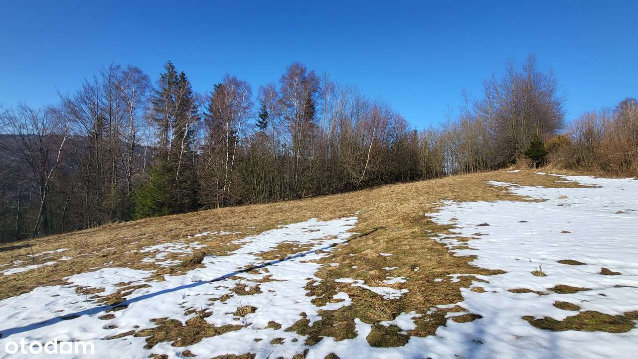Dwa domy na działce 48 arów w Wiśle-19