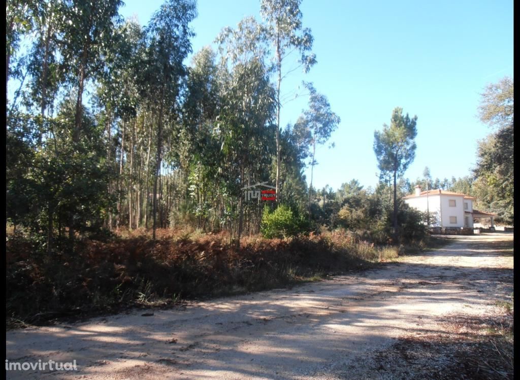 Terreno em zona muito sossegada