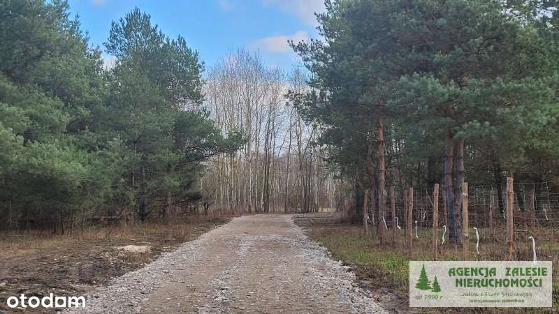Czarny Las  za Zalesiem Górnym - działka budowlana-5