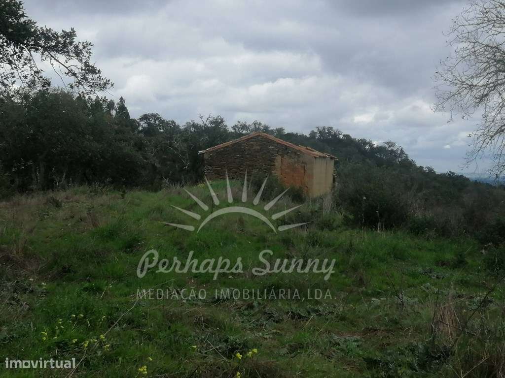 Quinta em Relíquias - Odemira-10