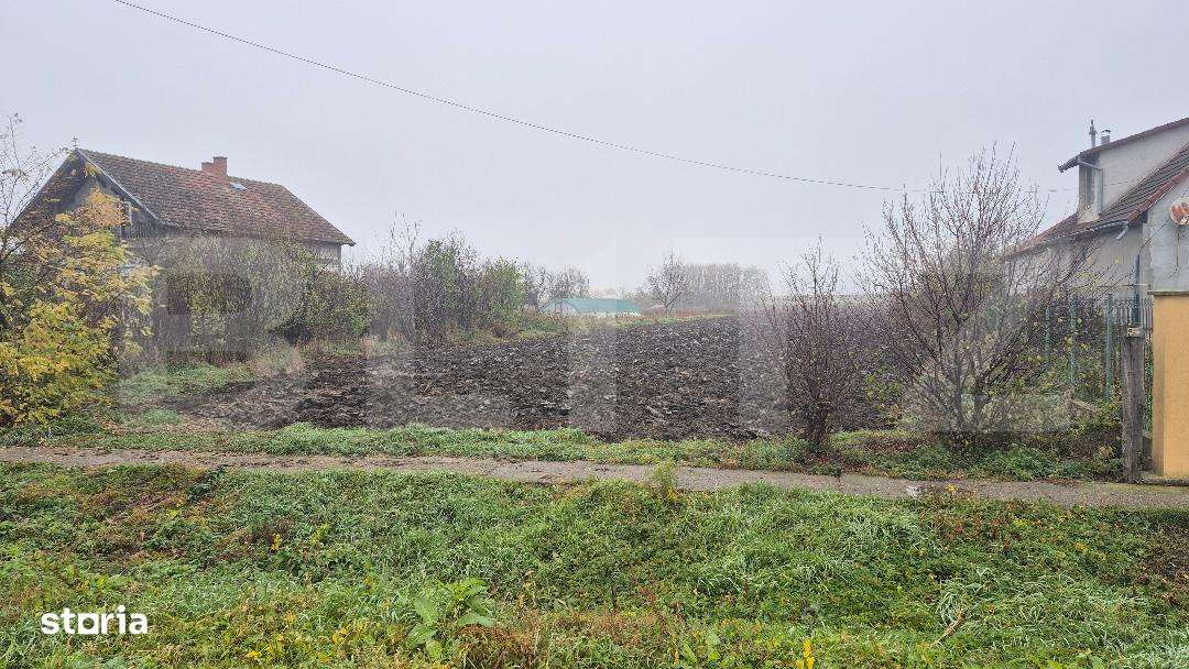 Teren intravilan de vanzare, 27.958 mp, in Vetis - Imagine principală: 2/2