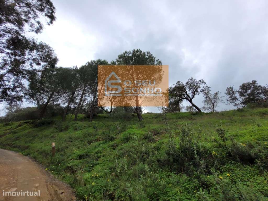 Terreno Rústico com 3.450 m²-9