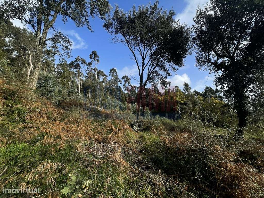 Terreno para Venda Centro de Grimancelos, Barcelos - Grande imagem: 2/26