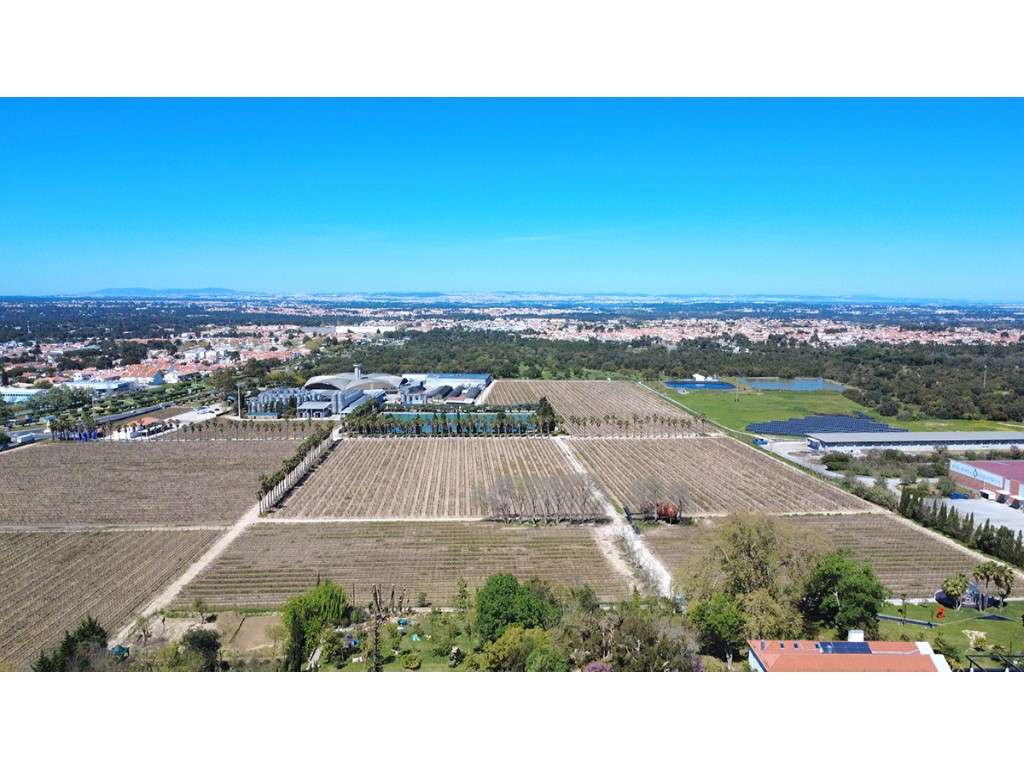 Moradia T4+1 moderna à venda em Picheleiros, Azeitão-45