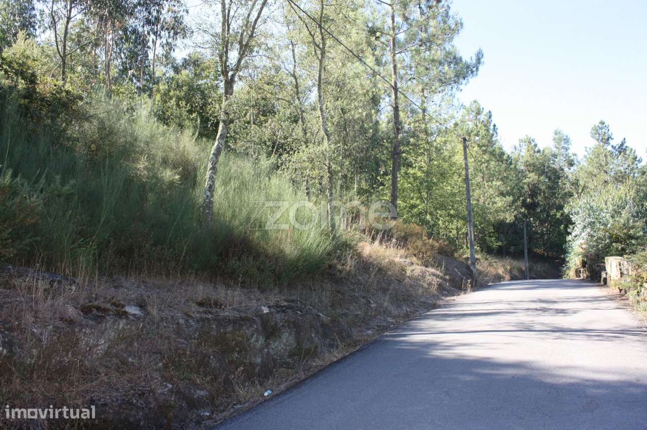 Terreno rústico c/37.400 m 2 de área. - Grande imagem: 5/15