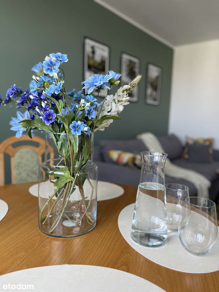 3M| po remoncie_oddzielna kuchnia| Staw Pilczycki |TYLKO U NAS! - Pełny obrazek: 4/12