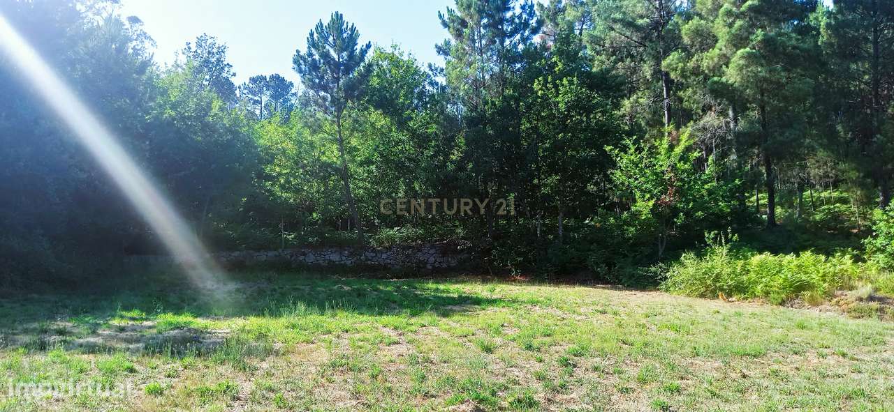 Quintinha em zona de construção H2  a 7 min centro Viseu - Grande imagem: 4/13