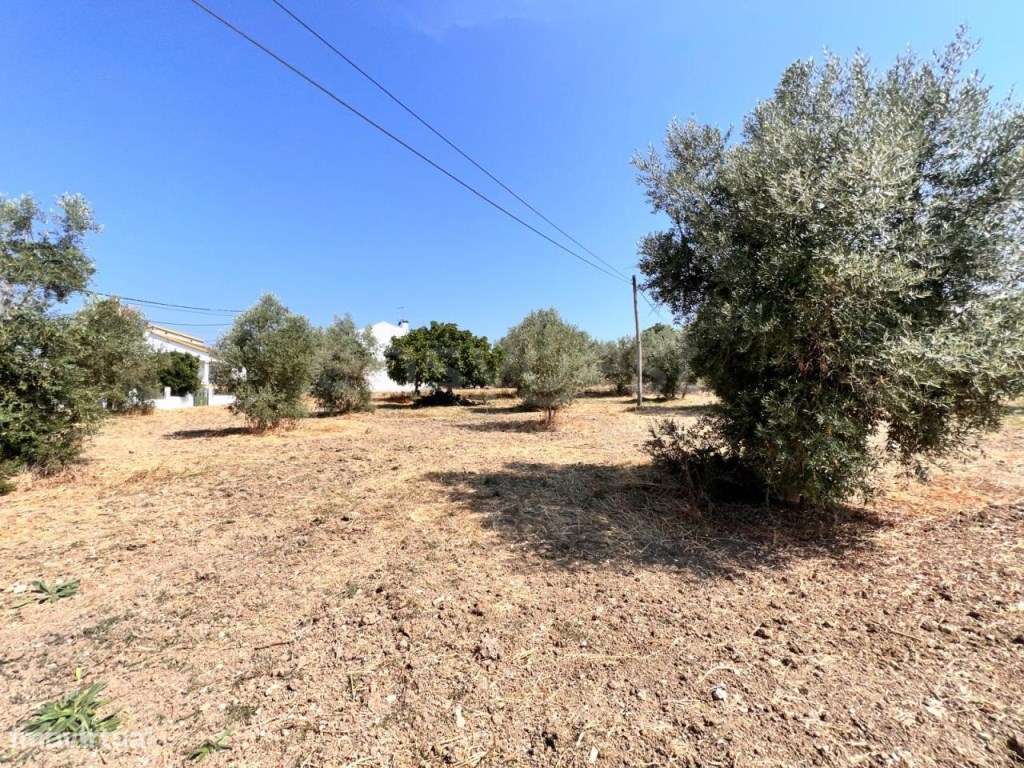 Terreno com possibilidade de construção perto do Entroncamento - Grande imagem: 3/10