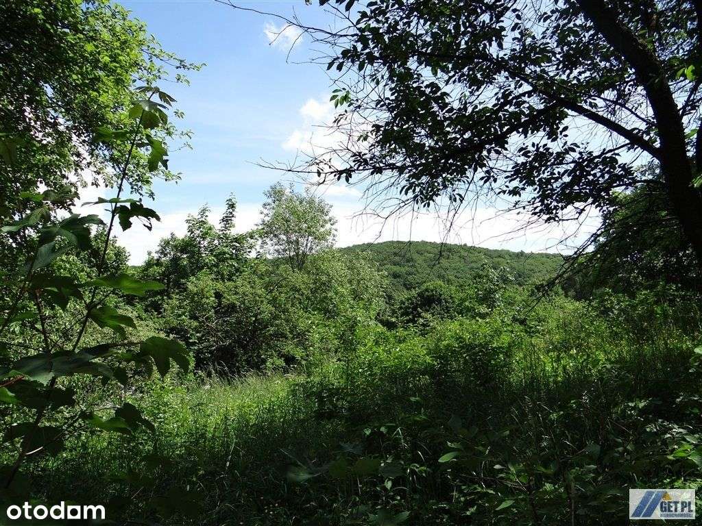 Widokowa działka budowlana w Paczółtowicach 9 arów - Pełny obrazek: 5/15