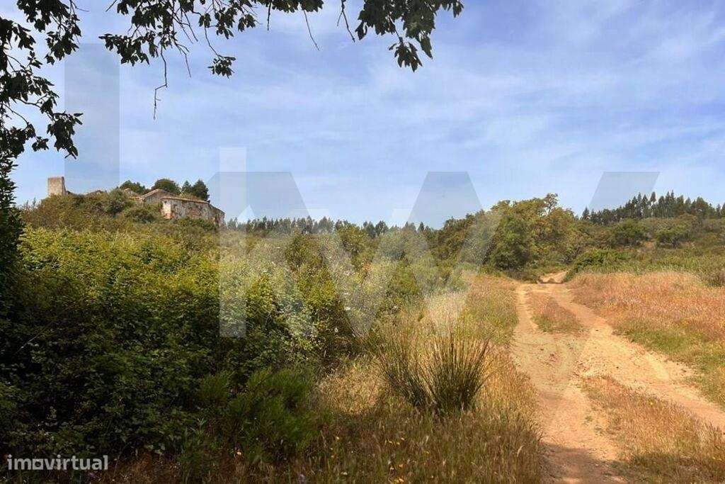 Herdade no coração do Alentejo Litoral - Santiago do Cacém - Grande imagem: 4/35