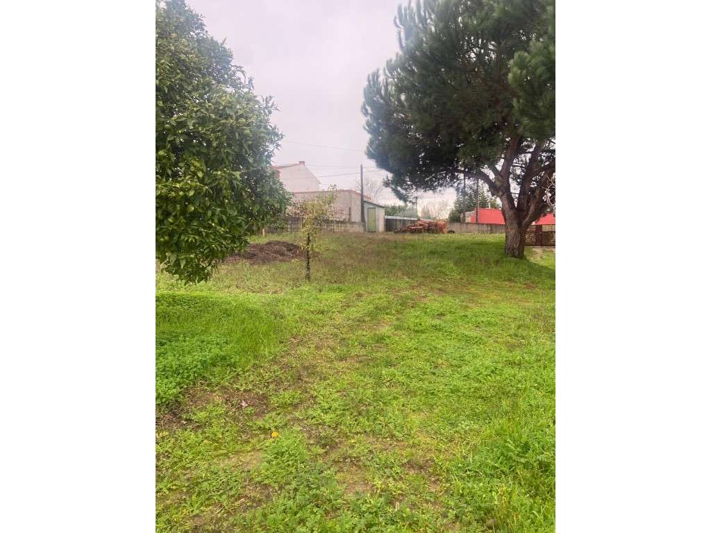 Casa térrea para recuperar na Carapinheira-8