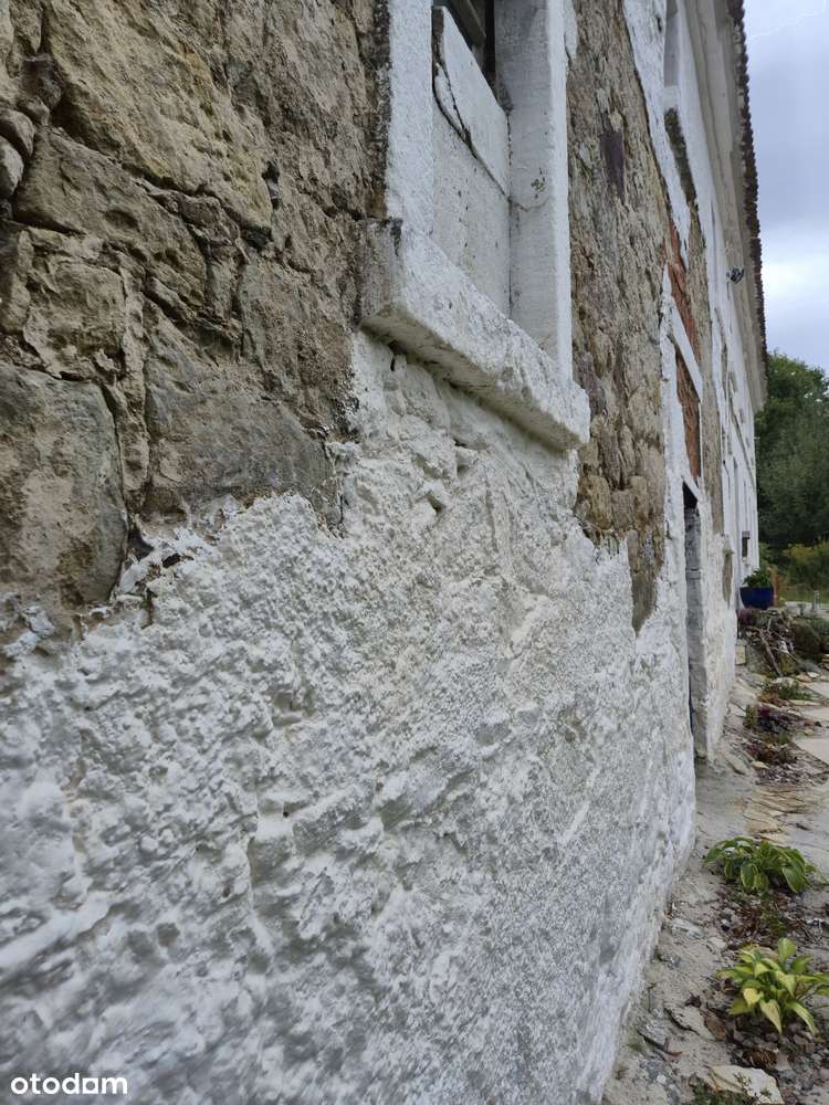 Klimatyczne stare siedlisko - Pełny obrazek: 5/20