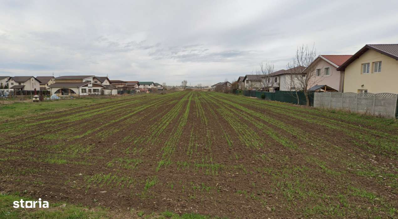 Teren Extravilan Padurea Craiului la intrarea in Com. Berceni | 3200mp - Imagine principală: 2/4