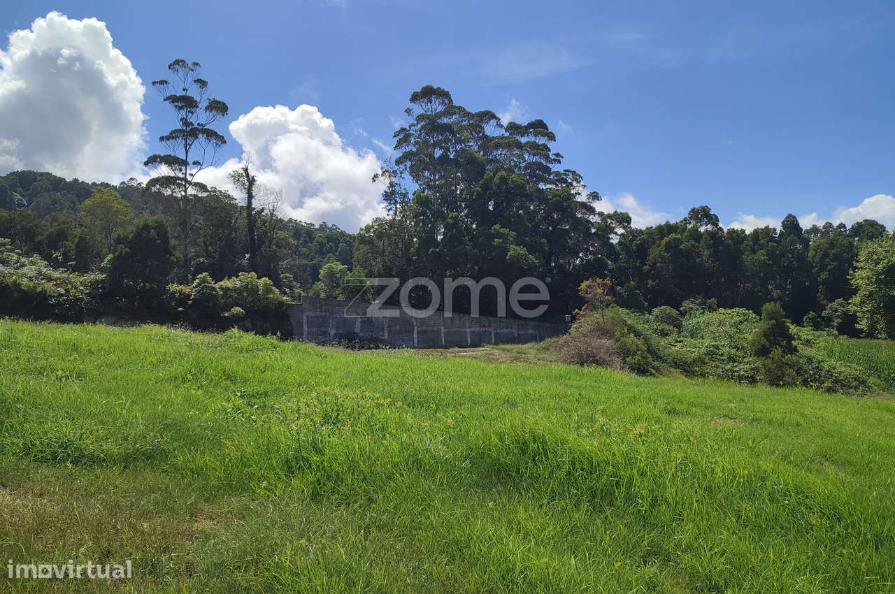 Terreno rústico nas Caldeiras da Ribeira Grande - Grande imagem: 2/18