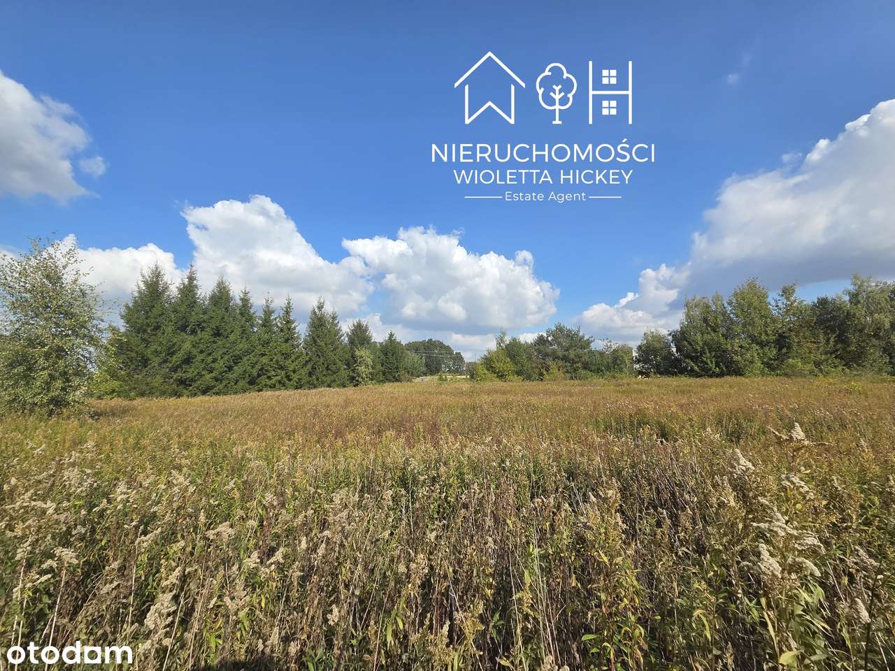 2 Działki w otoczeniu drzew – Wyszyna, gmina Stara Biała k Płocka-11