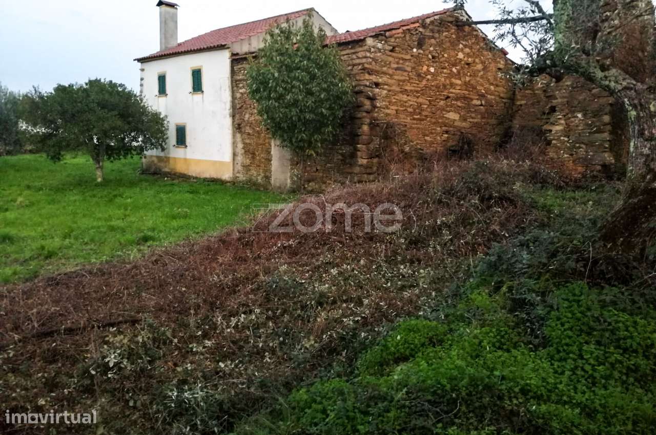Terreno I Tavila I Vila Velha de Rodão - Grande imagem: 5/5