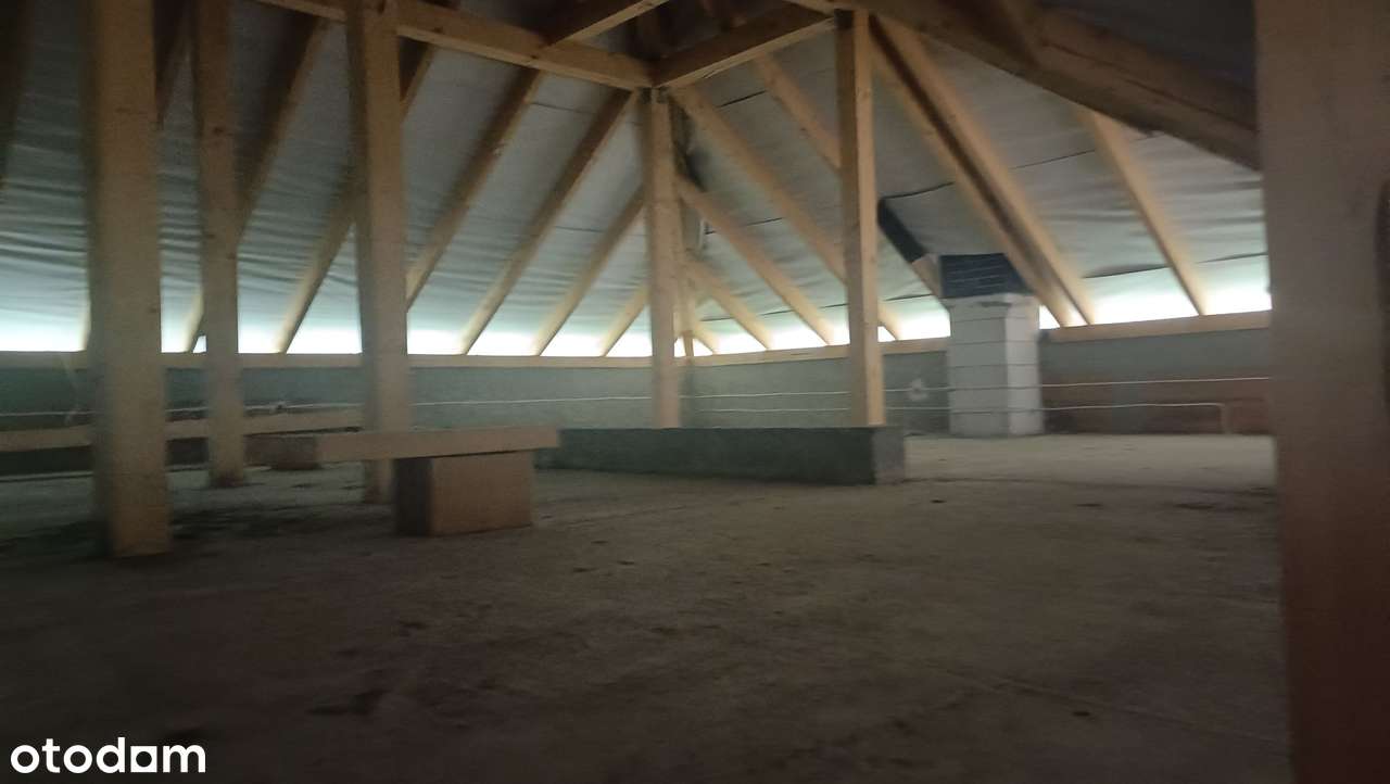 Piława Górna, 60km od Wrocławia, dom w trakcie budowy, duża działka!-9