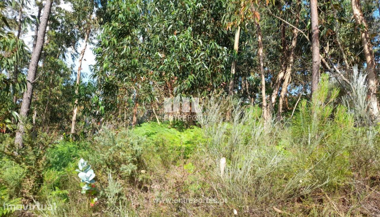 Venda Terreno, Lomba, Amarante - Grande imagem: 4/31