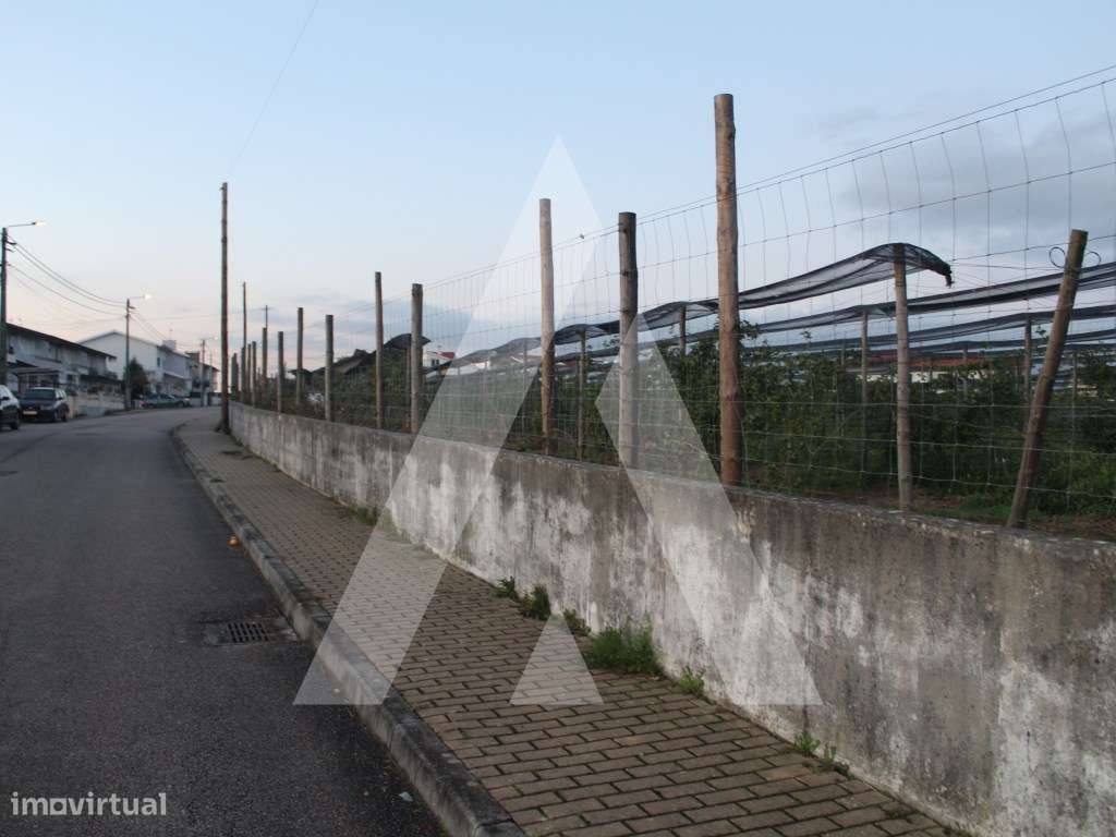 Terreno para construção em Albergaria-a-Velha - Grande imagem: 2/21