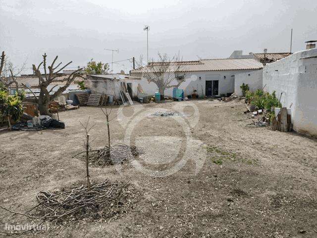 Moradia renovada com grande quintal - Perolivas-19