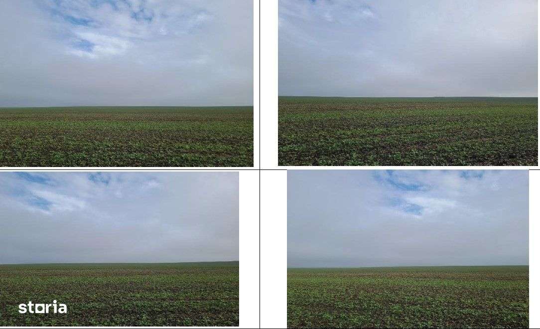 Teren extravilan Orbeasca, ID: R2836912-3