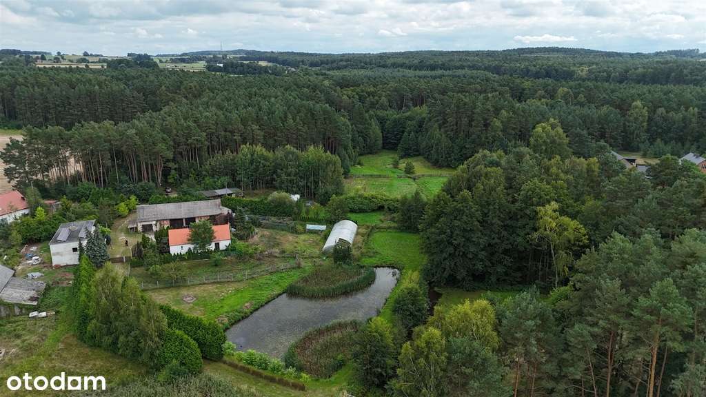 Dom na sprzedaż, 6 pokoi, 432 m², Kobyla Góra