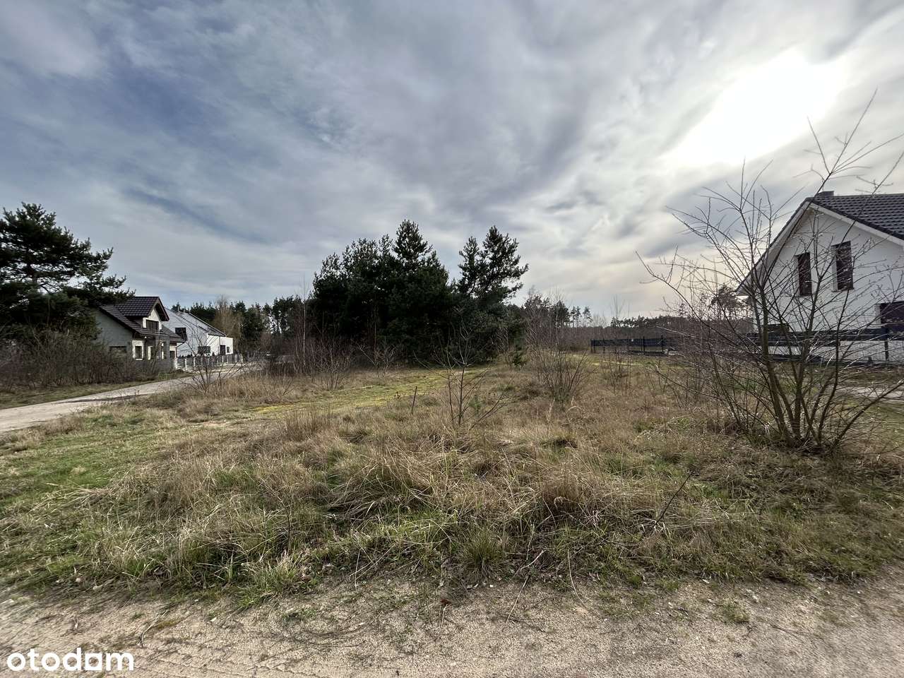 Działki budowlane w środku lasu blisko Wrześni Psary-4