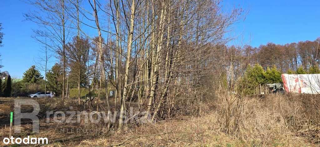 Działka między jeziorami I Media I Droga I Radzyń - Pełny obrazek: 4/4