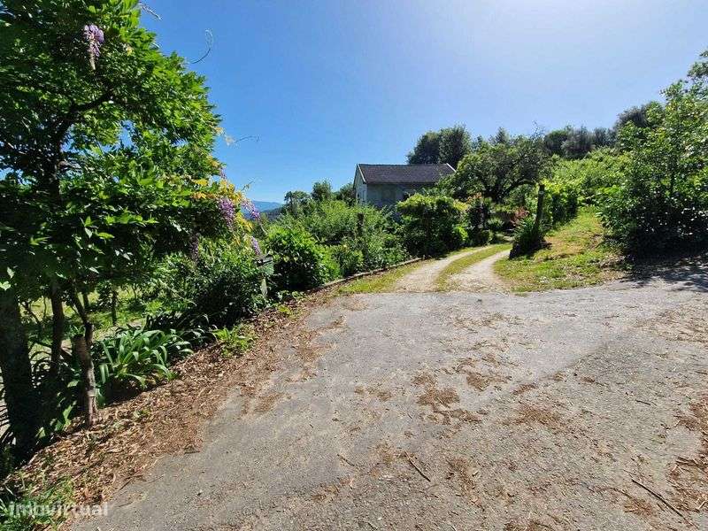 Quintinha com Árvores de fruto e Água - Grande imagem: 5/12