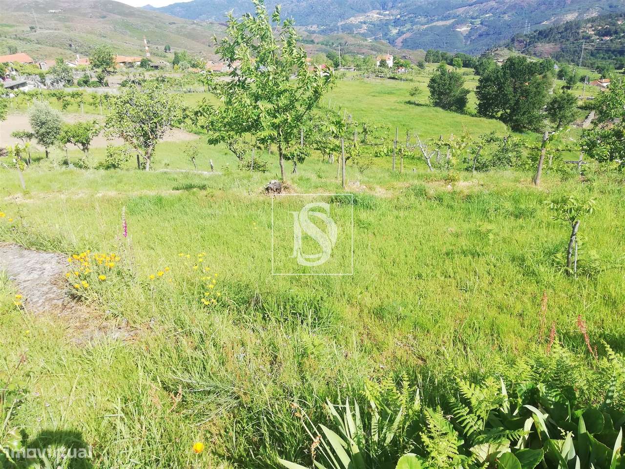 Terreno Para Construção  Venda em Ruivães e Campos,Vieira do Minho-54
